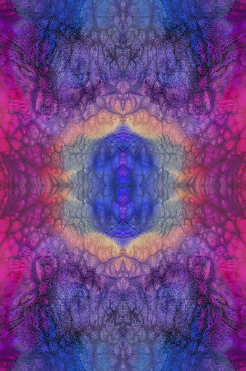 Project 01a